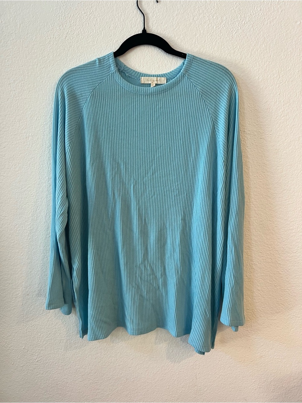 HDYWT - Light Blue Ribbed Long Sleeve